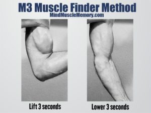 M3 Muscle Finder Method poster The M3 Muscle Finder Method