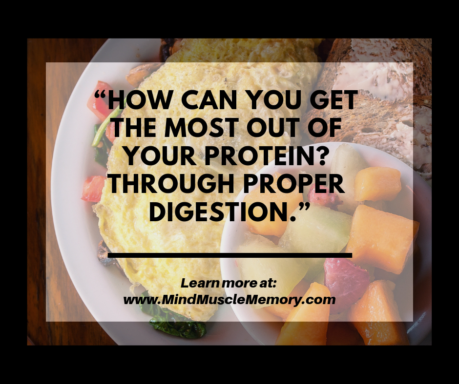 Get Effective Complete Digestion of Your Protein Intake