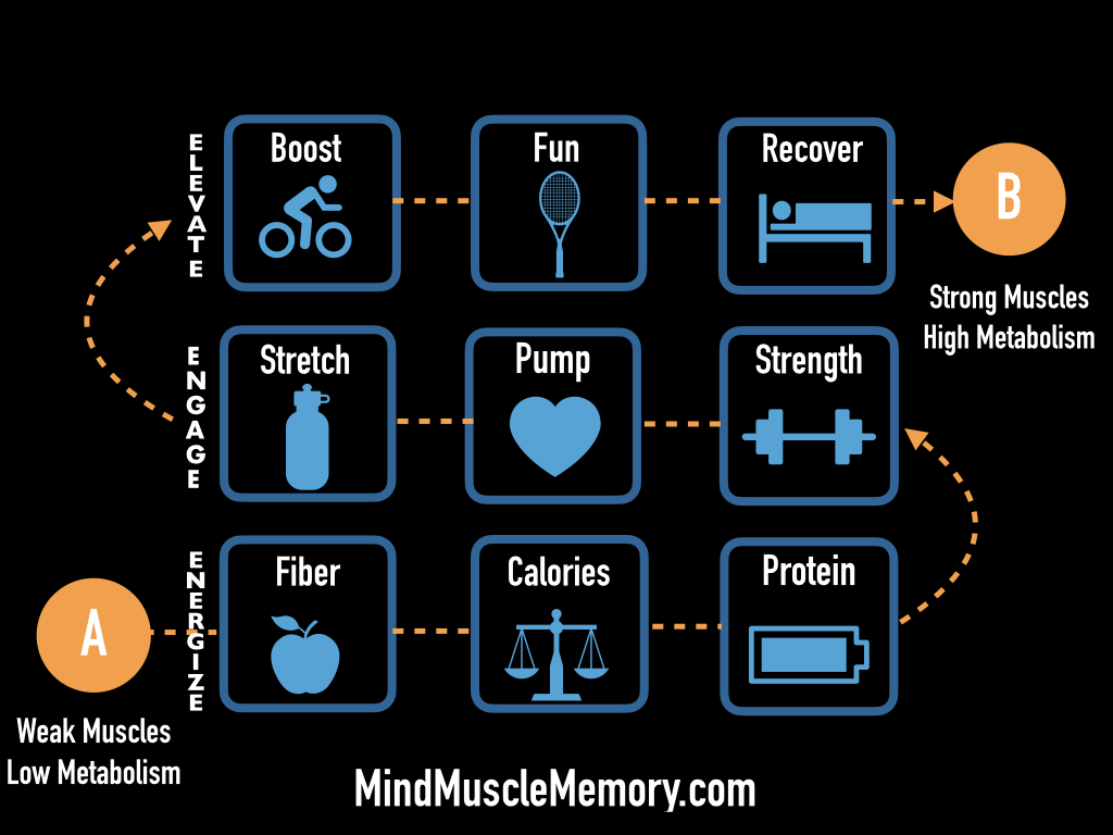 3 step mind muscle memory system to rebuild metabolism with muscle strength Sales Page